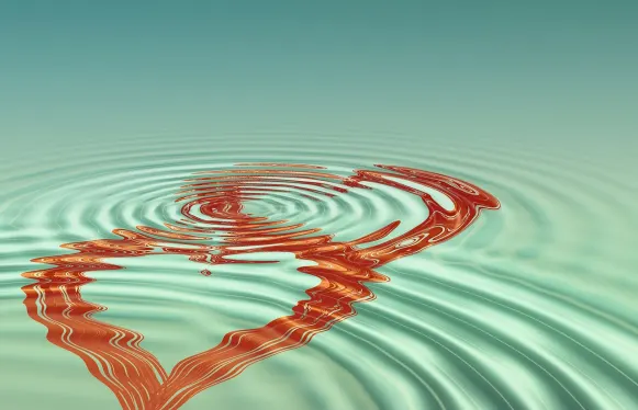 Rokubet Casino Ënnerstëtzung